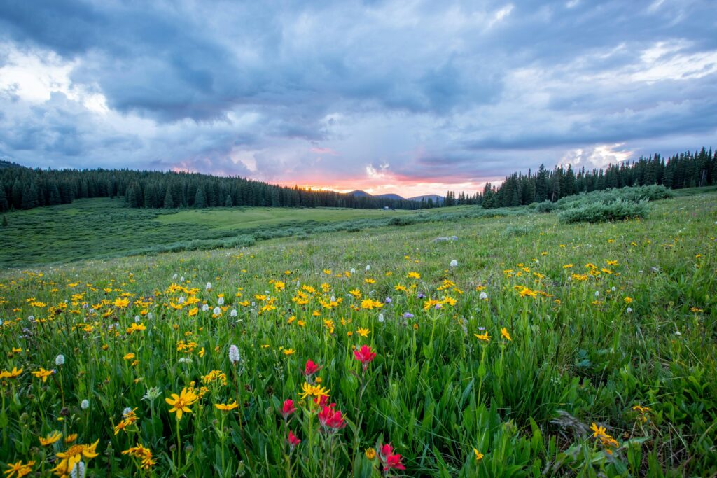 La zone naturelle du PLU