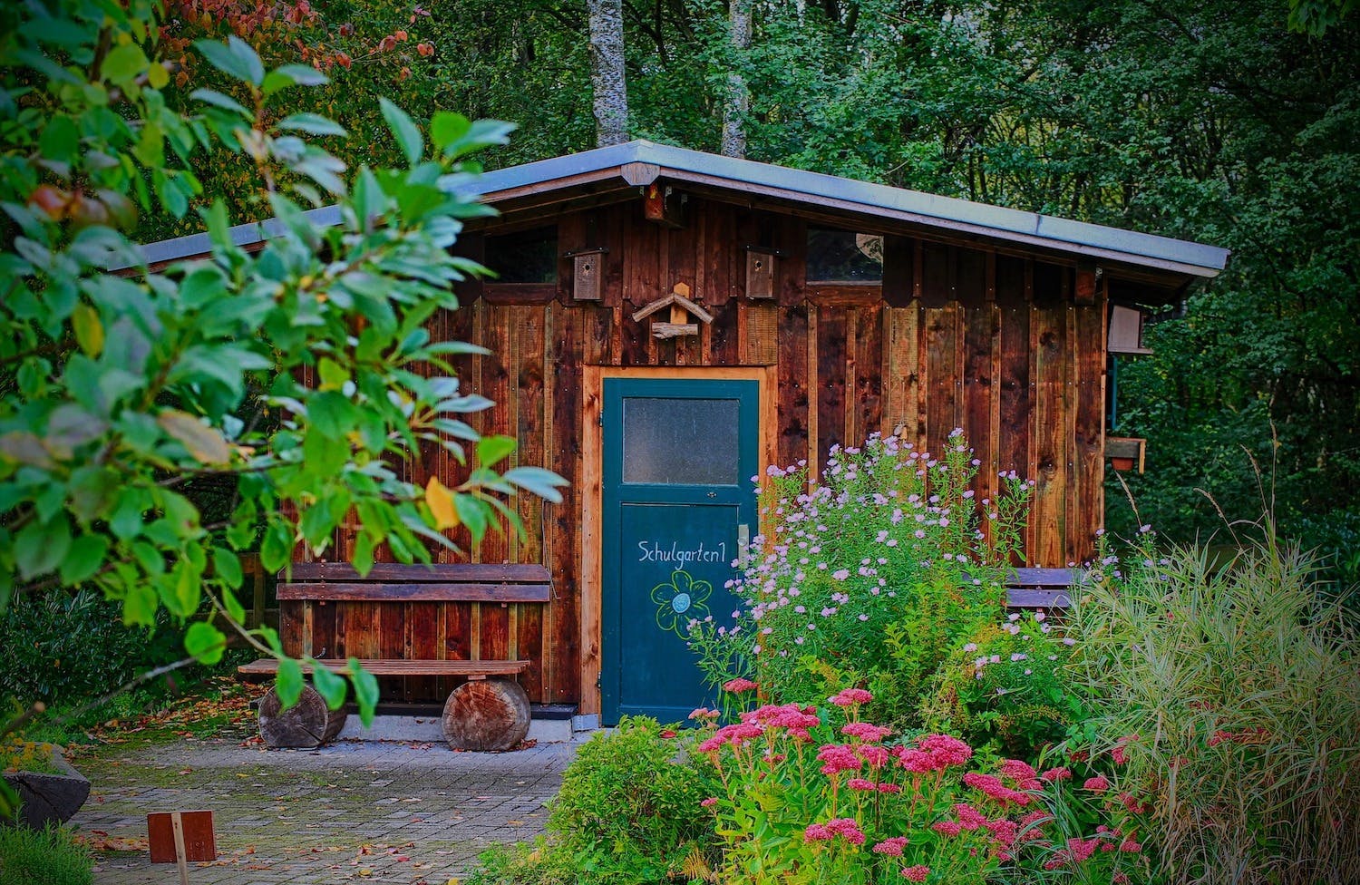 Abri de jardin en bois : quel budget prévoir ?