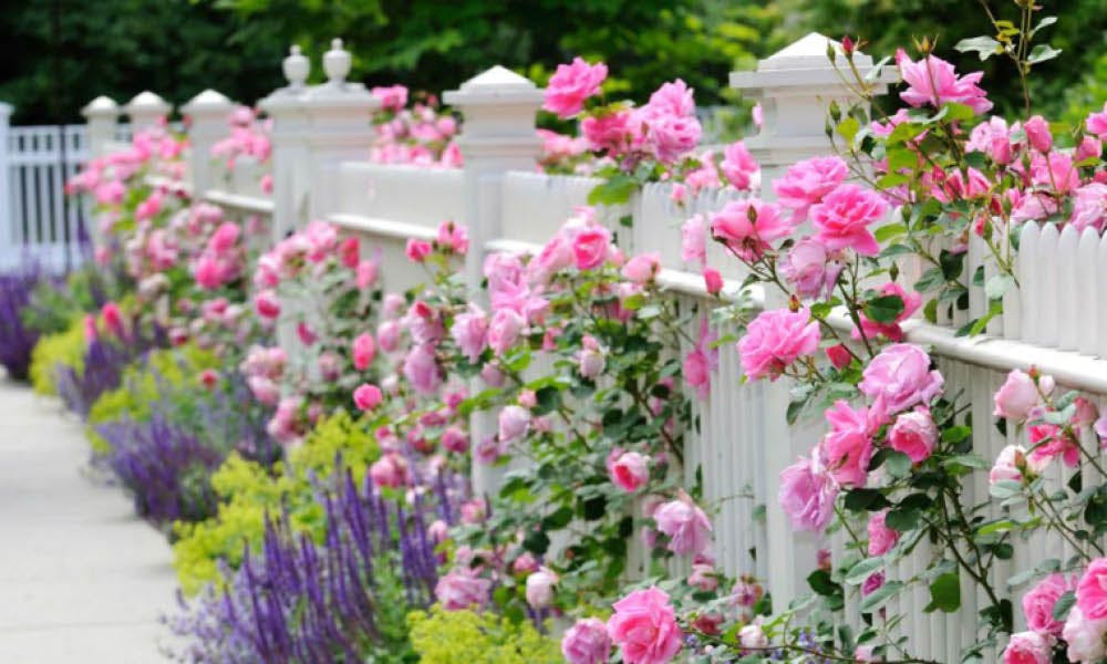 5 idées de clôture de jardin en bois pour protéger votre jardin avec des matériaux naturels