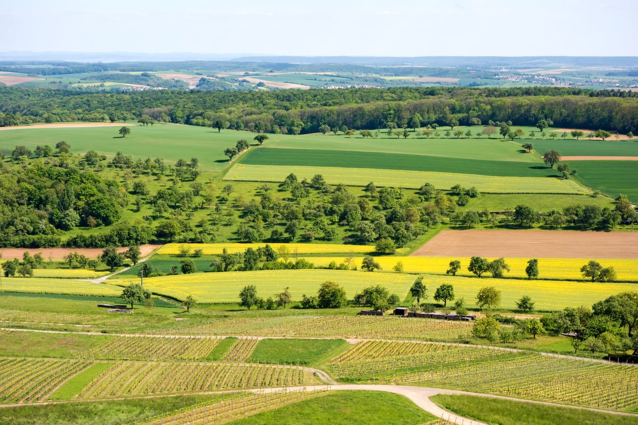 Construction sur terrain agricole : toutes nos astuces pour y parvenir !